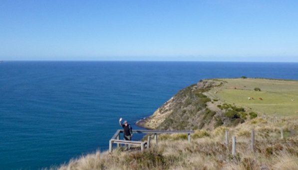 The seal viewing platform gives a birds-eye view of the wildlife.