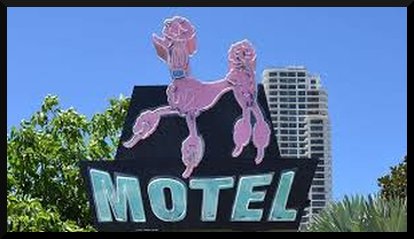 pink poodle gold coast