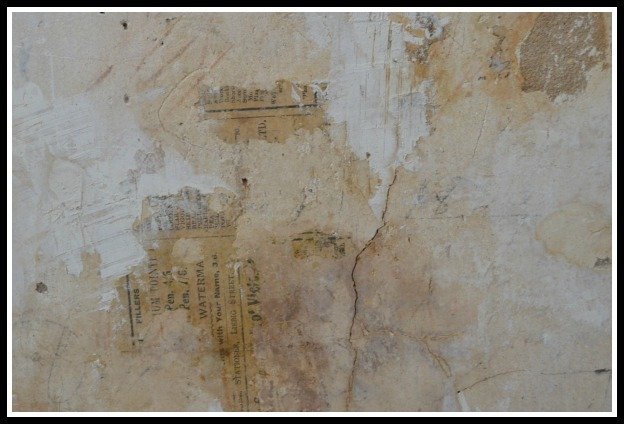 222 timor 2016_old paper