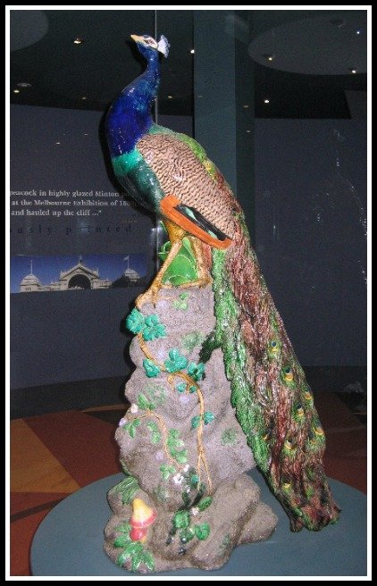 peacock