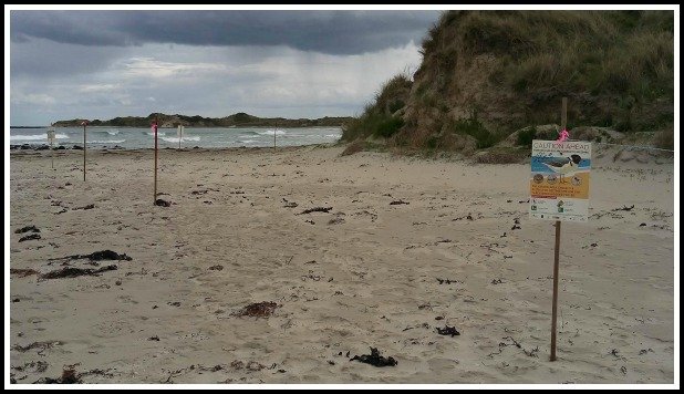 killarney-beach2